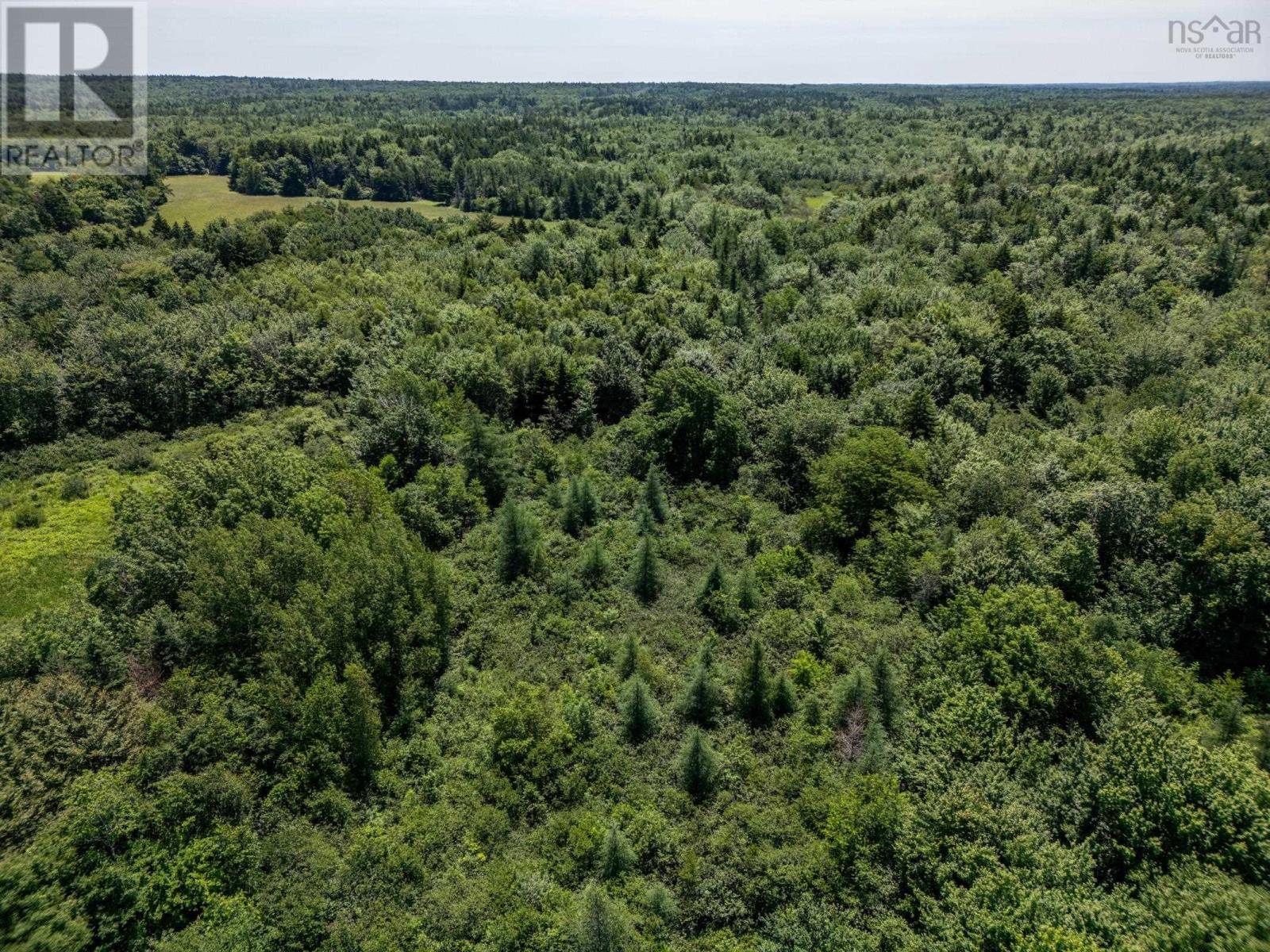 Lot Towshipline Road, Ohio, Nova Scotia  B0W 3T0 - Photo 10 - 202422933