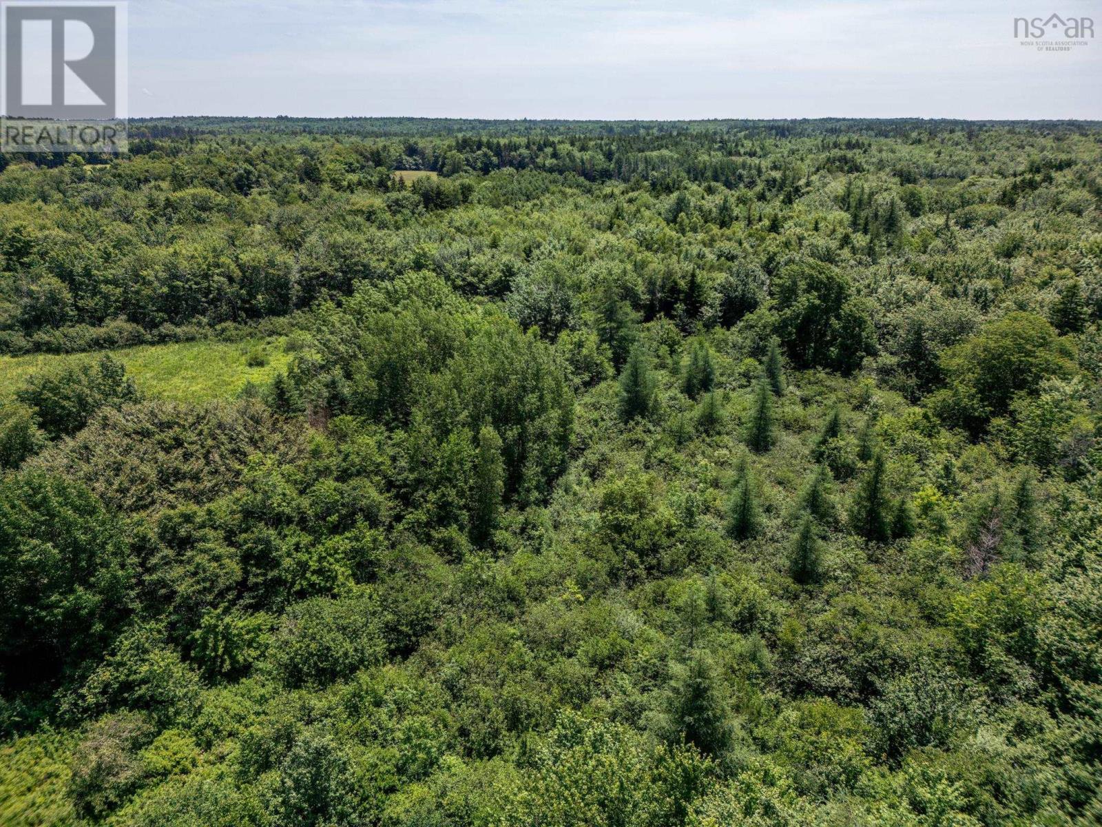 Lot Towshipline Road, Ohio, Nova Scotia  B0W 3T0 - Photo 11 - 202422933