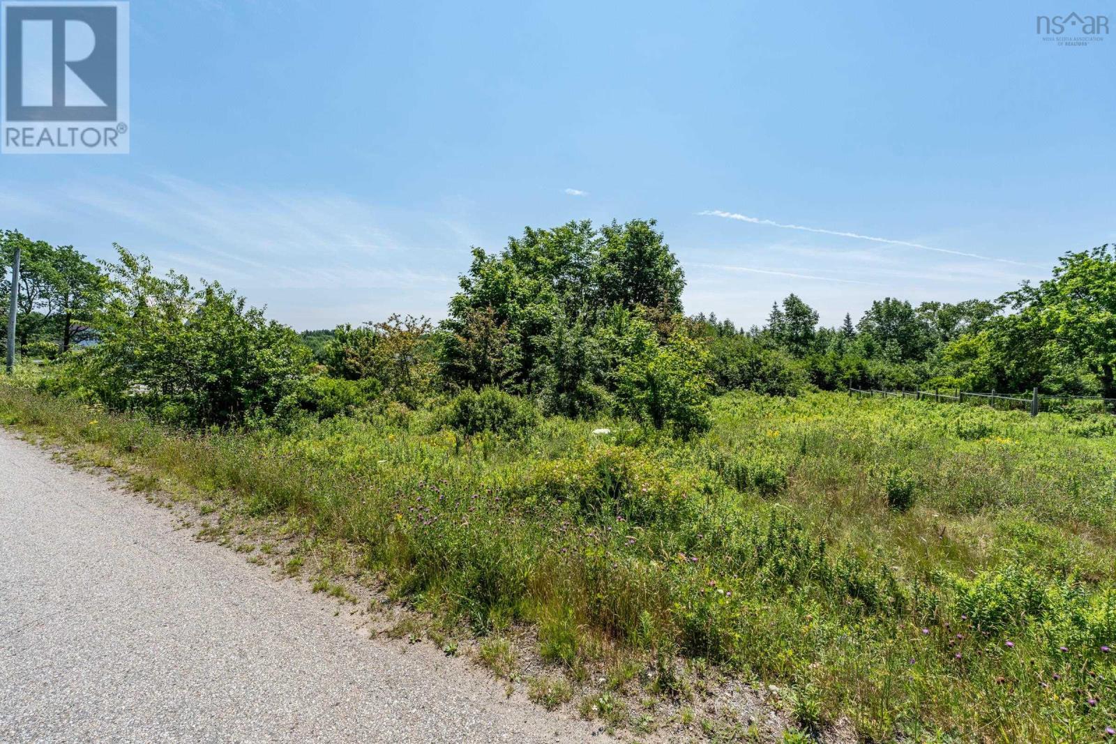 Lot Towshipline Road, Ohio, Nova Scotia  B0W 3T0 - Photo 16 - 202422933