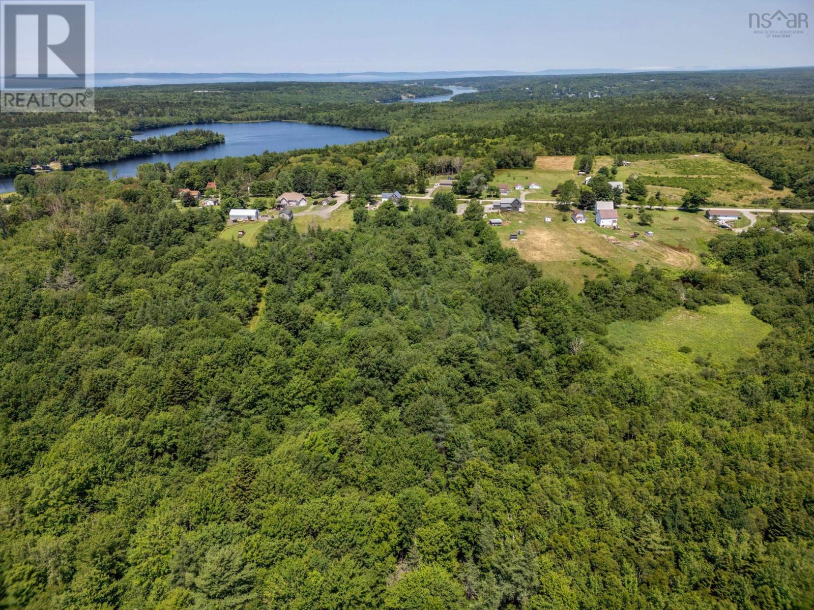 Lot Towshipline Road, Ohio, Nova Scotia  B0W 3T0 - Photo 6 - 202422933