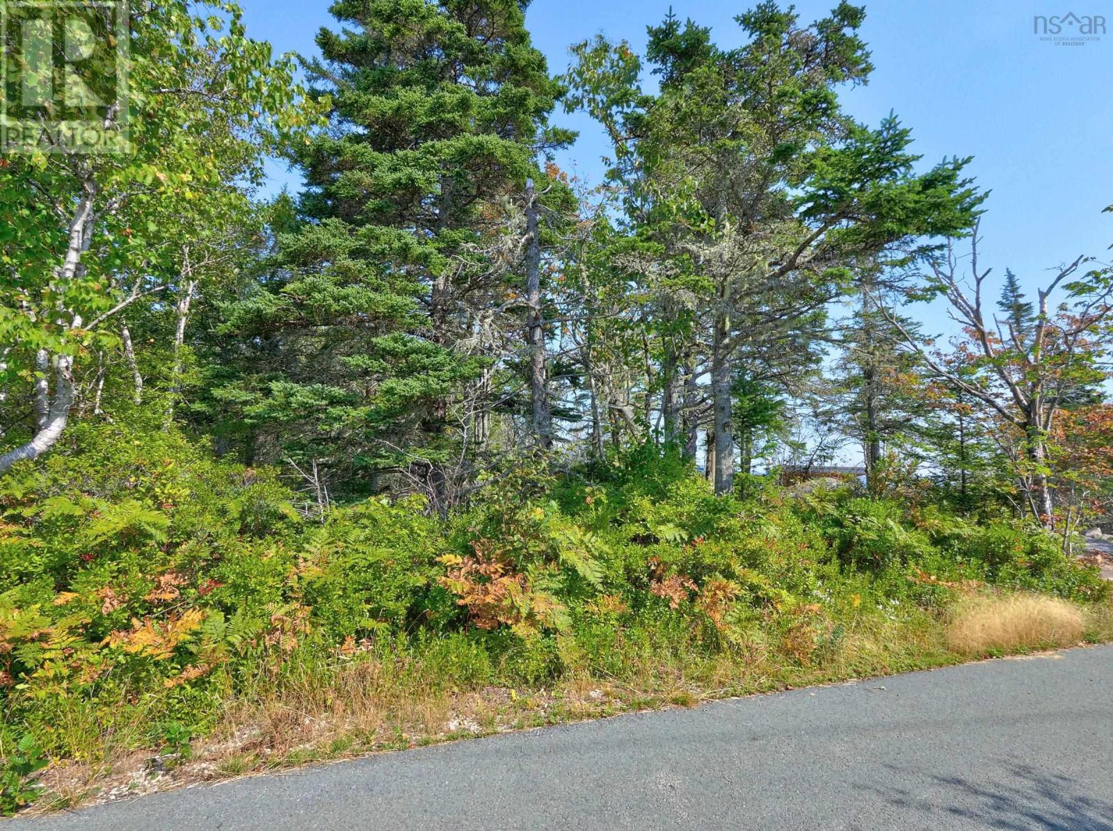 Lot 5a Island Watch Run, Northwest Cove, Nova Scotia  B0J 1T0 - Photo 15 - 202423013