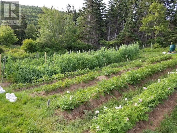 3134 Shore Road, Margaree Harbour, Nova Scotia  B0E 2B0 - Photo 39 - 202423025