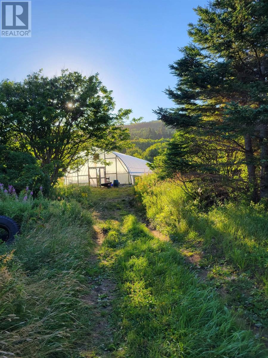 3134 Shore Road, Margaree Harbour, Nova Scotia  B0E 2B0 - Photo 42 - 202423025