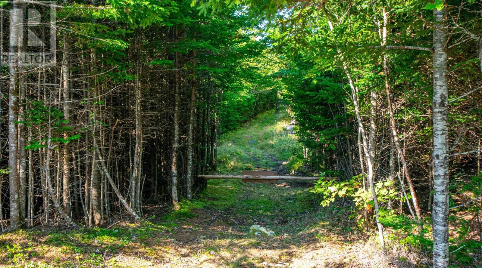 No Highway 7, Parcel A, Head Of Jeddore, Nova Scotia  B0J 1P0 - Photo 41 - 202423096