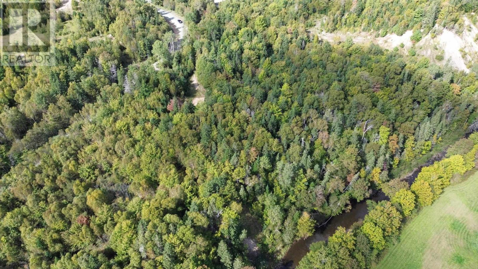 Acreage Campbell Mountain Road, (Grant 23172), Churchview, Nova Scotia  B0E 3M0 - Photo 10 - 202423102