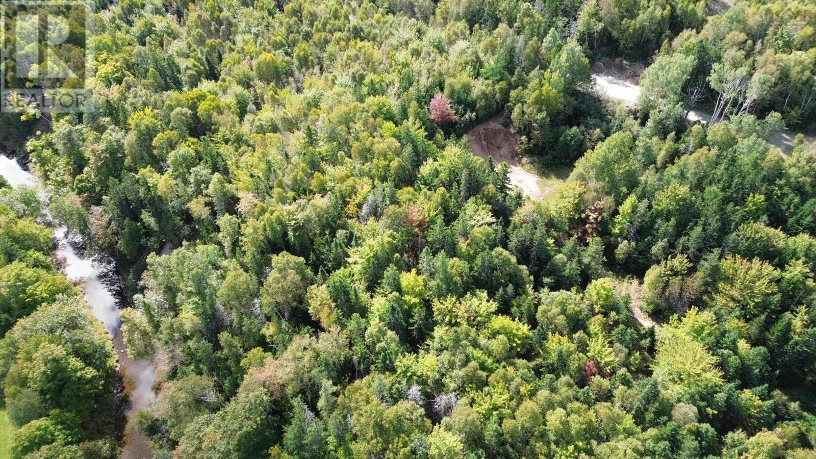 Acreage Campbell Mountain Road, (Grant 23172), Churchview, Nova Scotia  B0E 3M0 - Photo 2 - 202423102