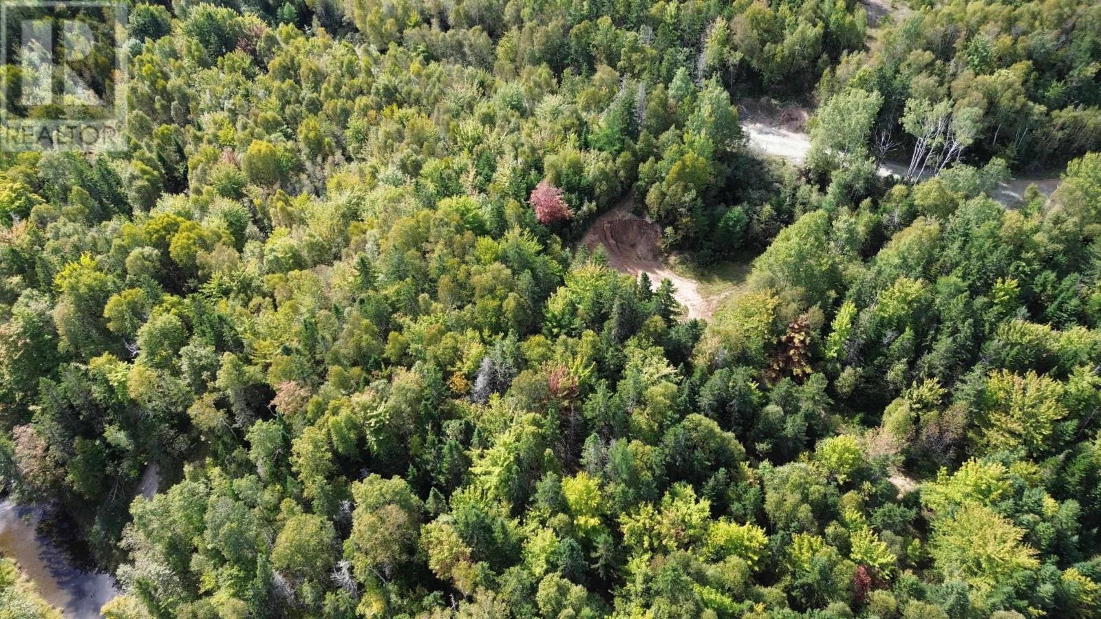 Acreage Campbell Mountain Road, (Grant 23172), Churchview, Nova Scotia  B0E 3M0 - Photo 4 - 202423102