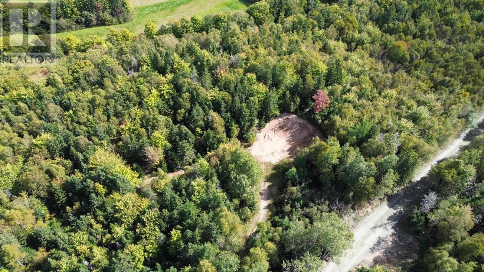 Acreage Campbell Mountain Road, (Grant 23172), Churchview, Nova Scotia  B0E 3M0 - Photo 5 - 202423102