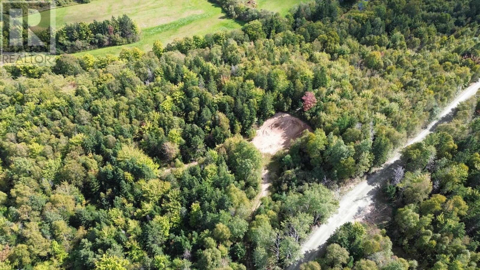 Acreage Campbell Mountain Road, (Grant 23172), Churchview, Nova Scotia  B0E 3M0 - Photo 6 - 202423102