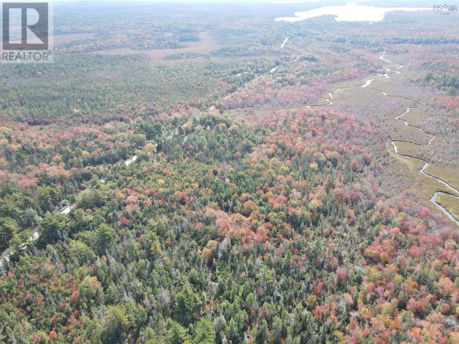 Lot T-1 Upper Clyde Road, Welshtown, Nova Scotia  B0T 1W0 - Photo 9 - 202423150