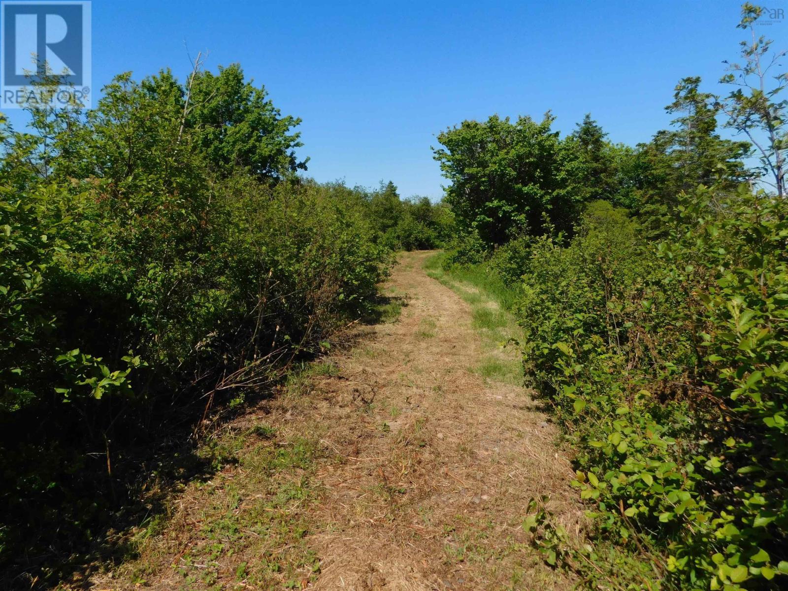 Lot 14 Elderberry Drive, Malagash Point, Nova Scotia  B0K 1V0 - Photo 12 - 202423280