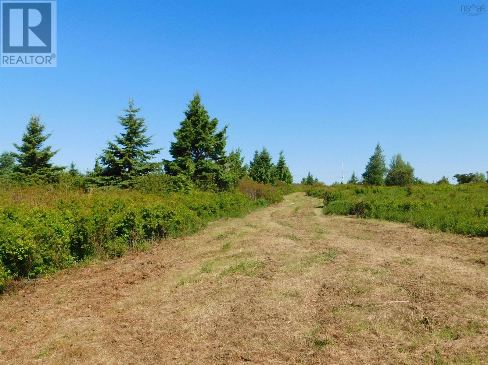 Lot 5 Elderberry Drive, Malagash Point, Nova Scotia  B0K 1E0 - Photo 10 - 202423281