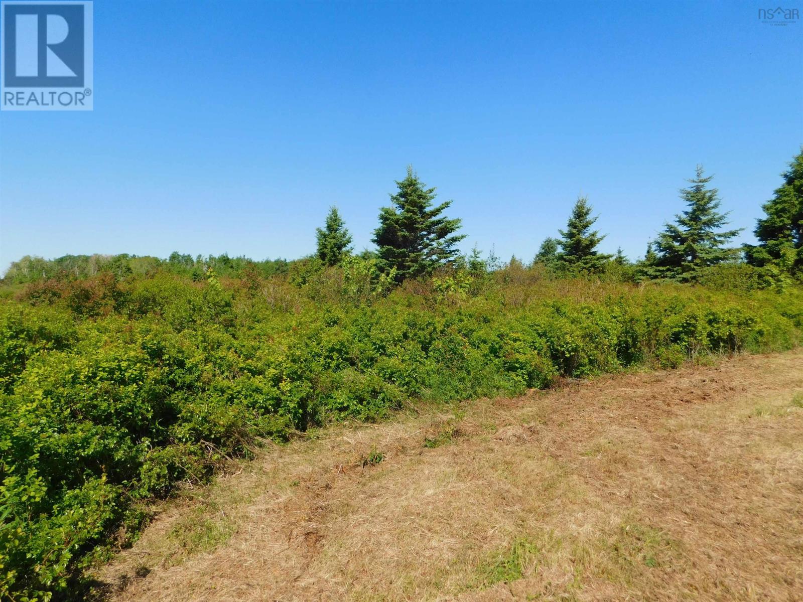 Lot 5 Elderberry Drive, Malagash Point, Nova Scotia  B0K 1E0 - Photo 11 - 202423281