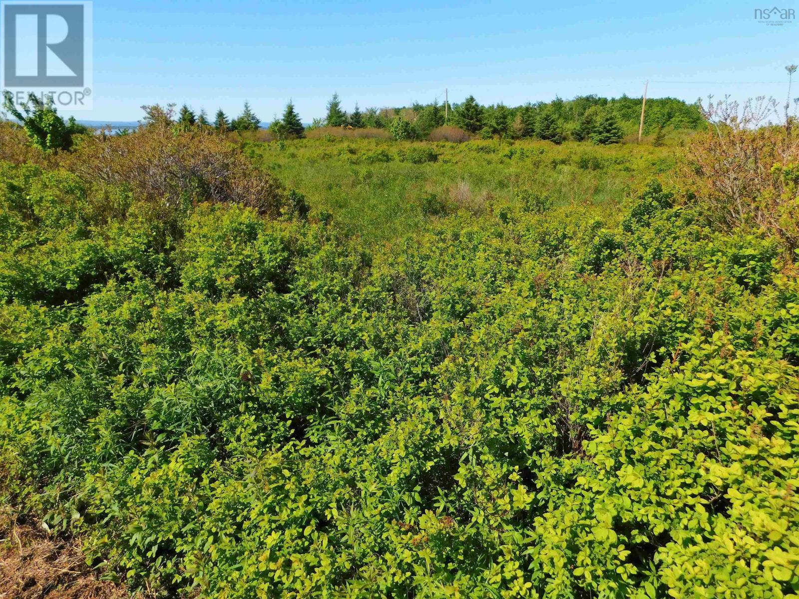 Lot 5 Elderberry Drive, Malagash Point, Nova Scotia  B0K 1E0 - Photo 12 - 202423281