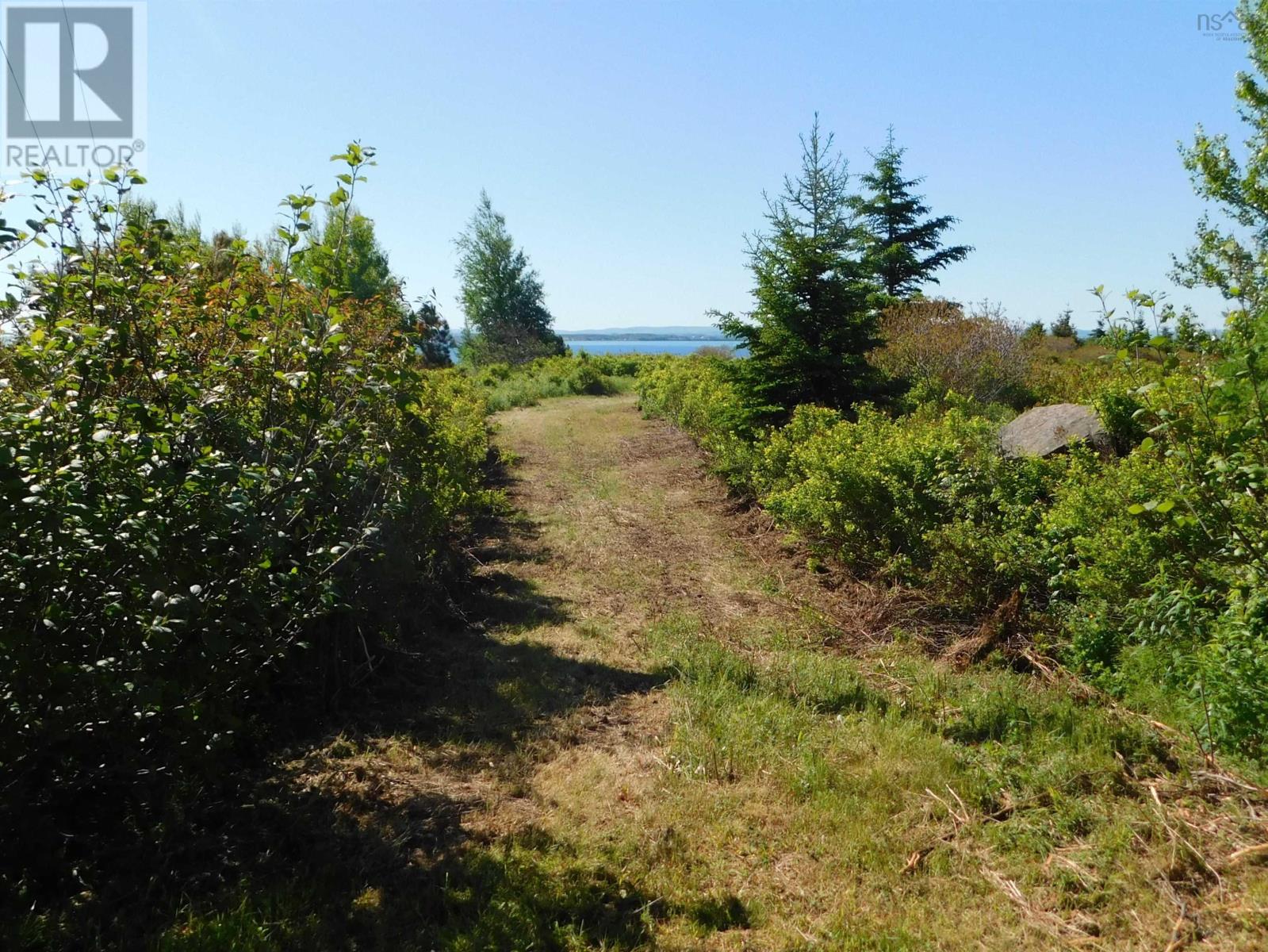 Lot 5 Elderberry Drive, Malagash Point, Nova Scotia  B0K 1E0 - Photo 13 - 202423281