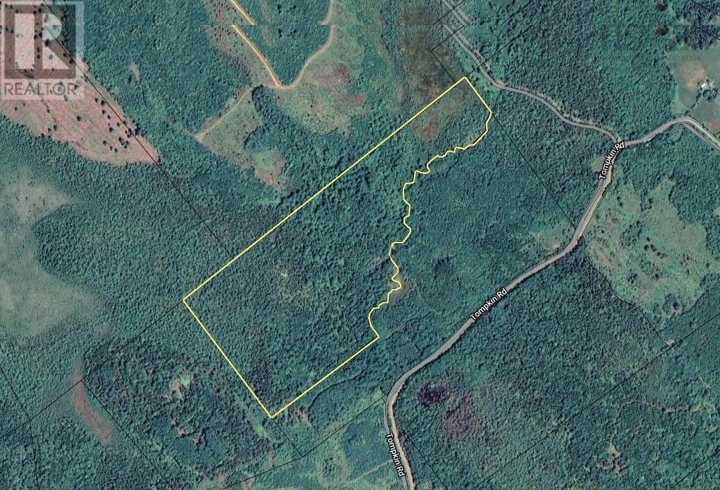 Lot 56 Acres PID#60269974 Tompkin Road, stanley section, Nova Scotia