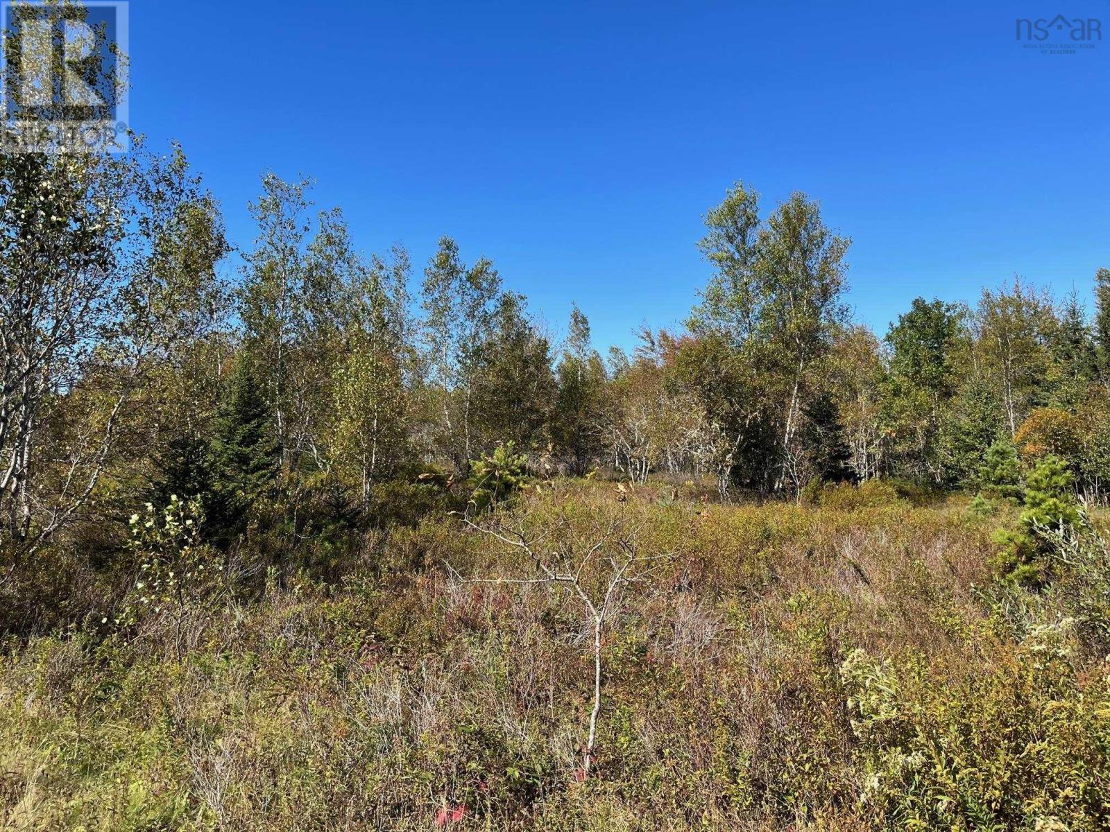 Lot 56 Acres Pid#60269974 Tompkin Road, Stanley Section, Nova Scotia  B0R 1E0 - Photo 2 - 202423296