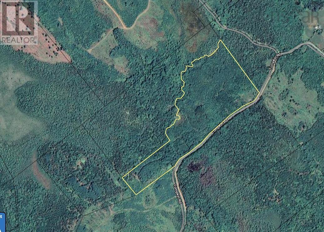 Lot 46 Acres PID#60270048 Tompkin Road, stanley section, Nova Scotia