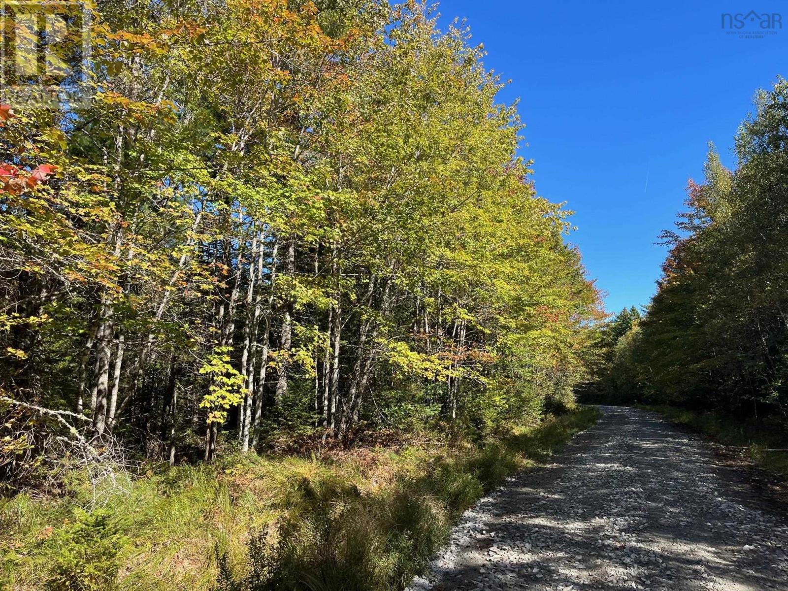 Lot 46 Acres Pid#60270048 Tompkin Road, Stanley Section, Nova Scotia  B0R 1E0 - Photo 2 - 202423297