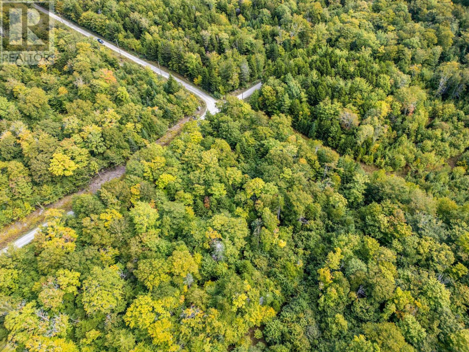 Lot 3 Theriault Point Road, Belliveaus Cove, Nova Scotia  B0W 1M0 - Photo 14 - 202423358