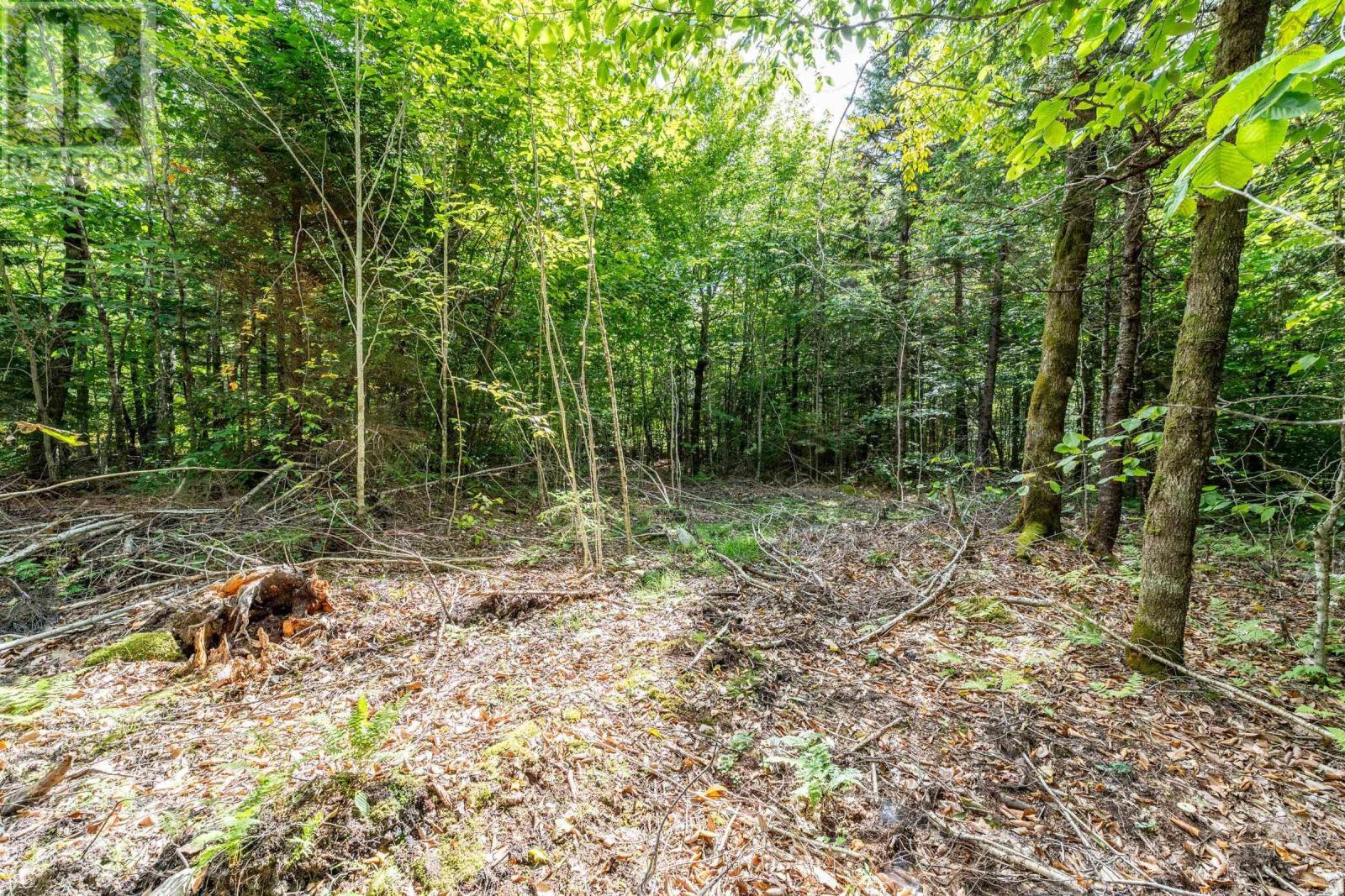 Lot 3 Theriault Point Road, Belliveaus Cove, Nova Scotia  B0W 1M0 - Photo 6 - 202423358