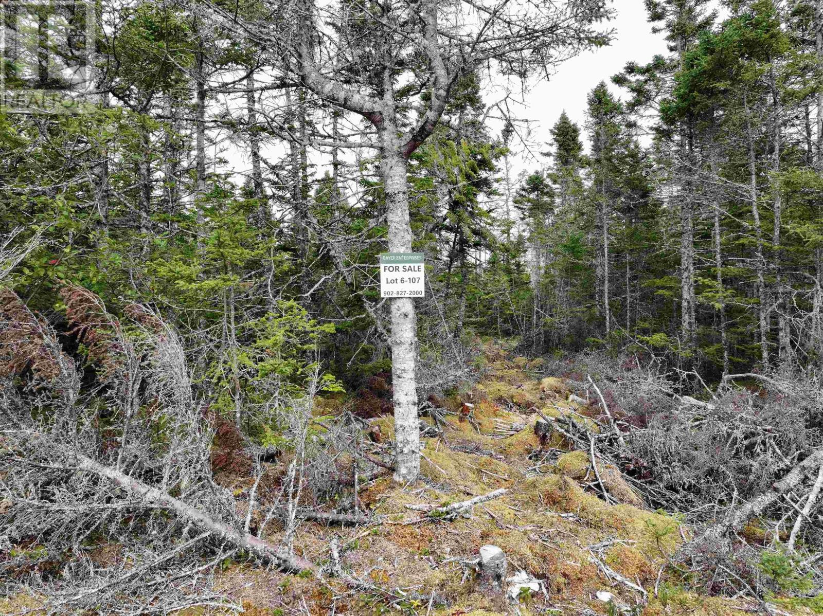 Lot 6-107 Ostrea Lake Road, Ostrea Lake, Nova Scotia  B0J 2L0 - Photo 2 - 202423394