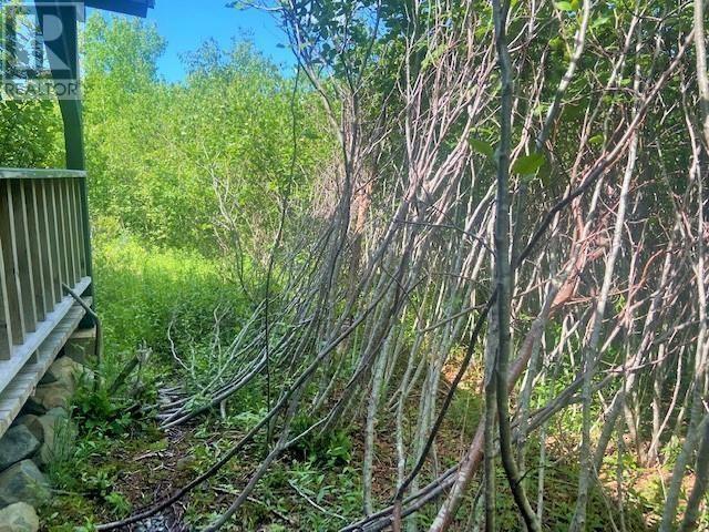 2733 Sandy Point Road, Lower Sandy Point, Nova Scotia  B0T 1E0 - Photo 3 - 202423435