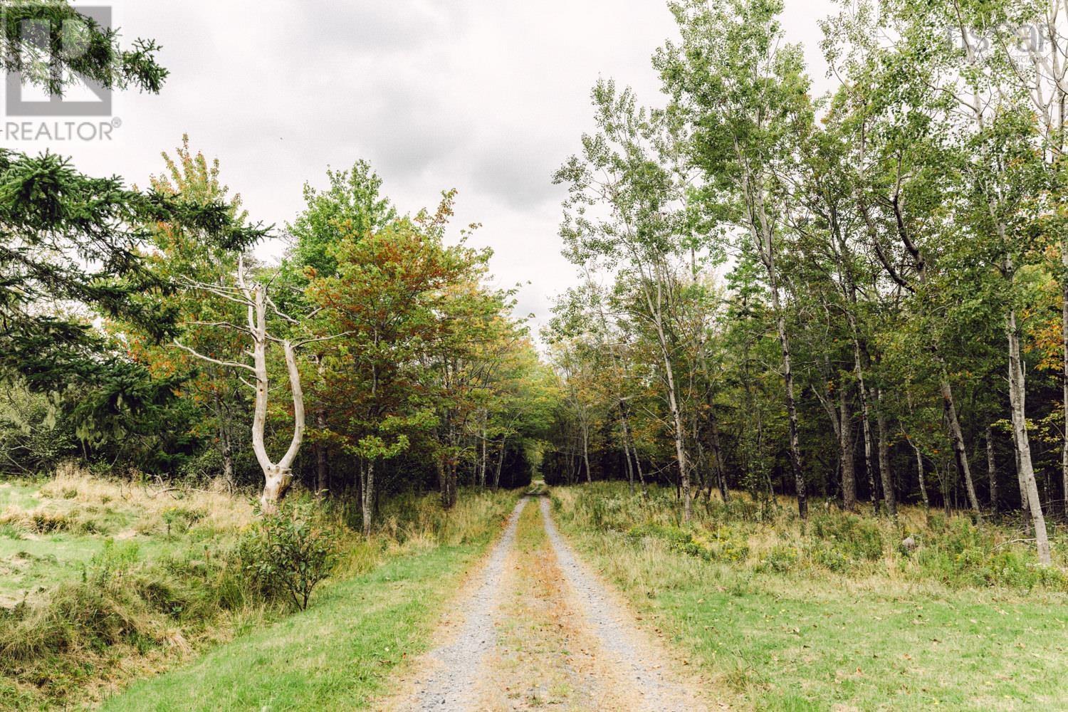 363 Ogilvie Road, Elderbank, Nova Scotia  B0N 1X0 - Photo 45 - 202423444