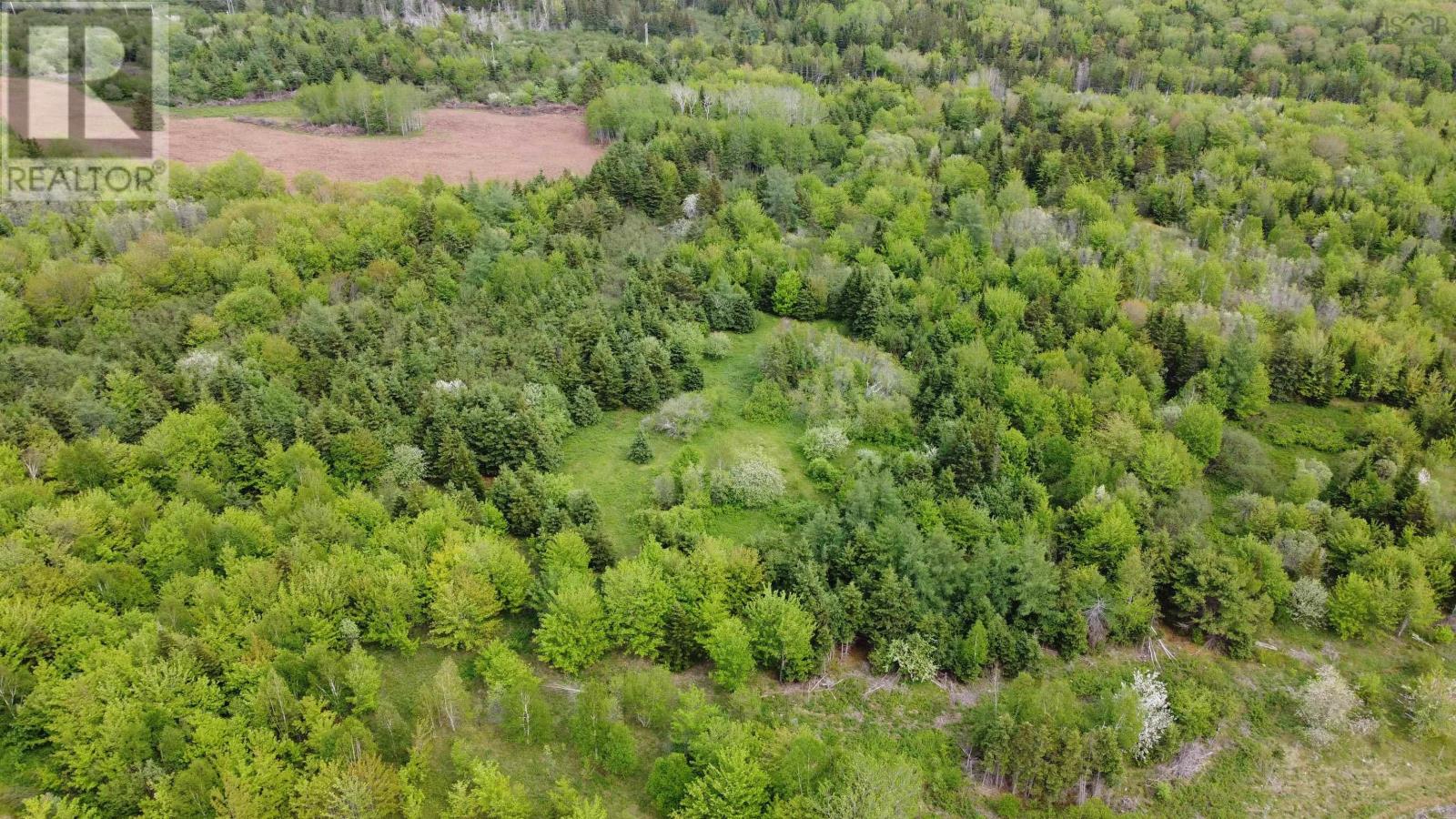 Ainslie Glen Road, Ainslie Glen, Nova Scotia  B0E 1M0 - Photo 16 - 202423480