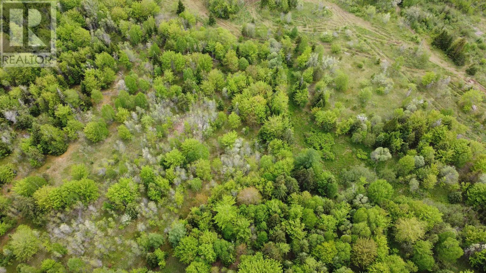 Ainslie Glen Road, Ainslie Glen, Nova Scotia  B0E 1M0 - Photo 18 - 202423480