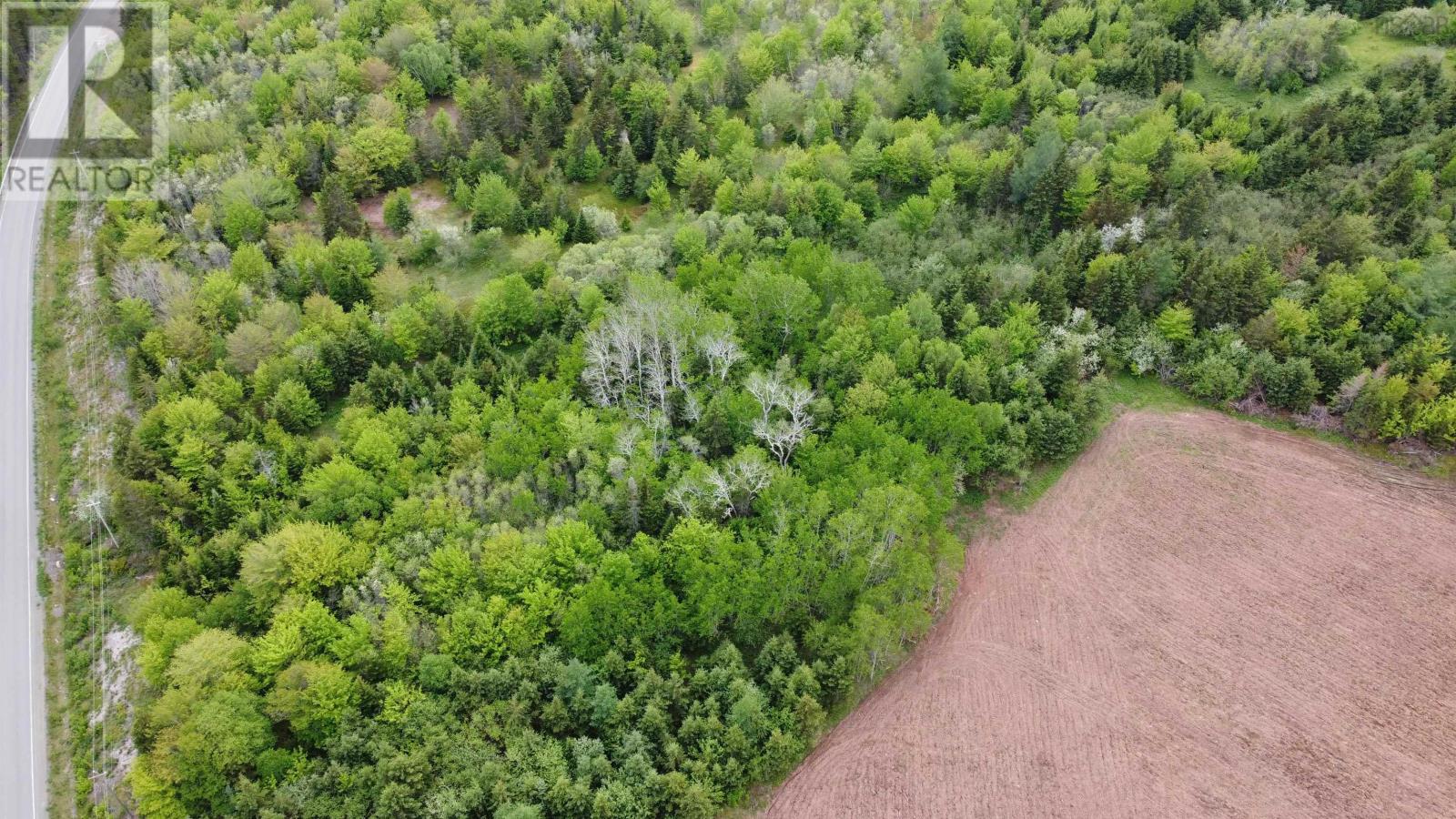 Ainslie Glen Road, Ainslie Glen, Nova Scotia  B0E 1M0 - Photo 22 - 202423480