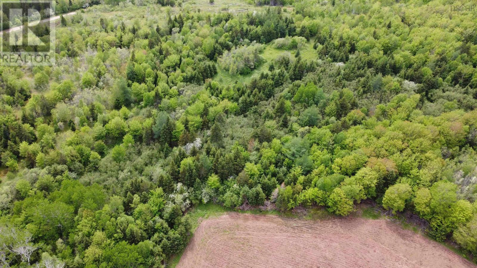 Ainslie Glen Road, Ainslie Glen, Nova Scotia  B0E 1M0 - Photo 7 - 202423480