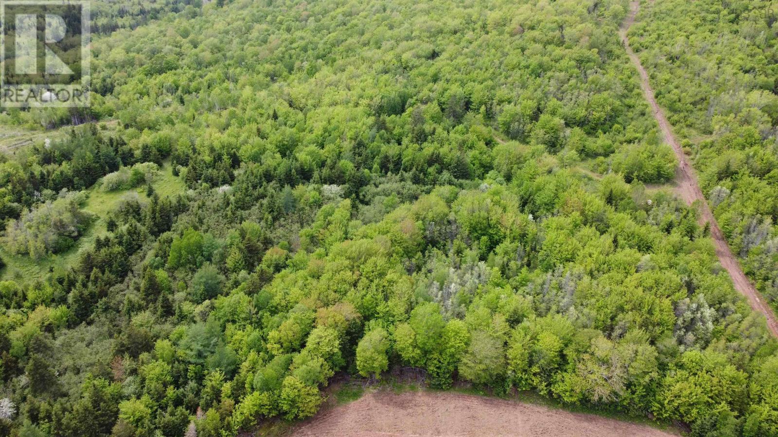 Ainslie Glen Road, Ainslie Glen, Nova Scotia  B0E 1M0 - Photo 9 - 202423480