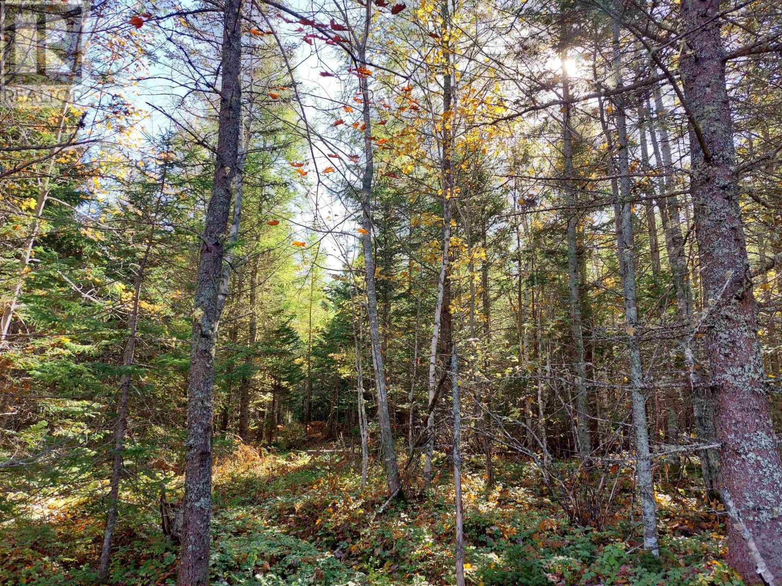 Lot 25 Beaver Lane, Grantville, Nova Scotia  B0E 1J0 - Photo 11 - 202423488