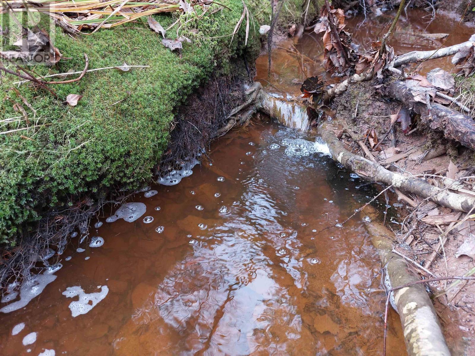 Lot 25 Beaver Lane, Grantville, Nova Scotia  B0E 1J0 - Photo 12 - 202423488