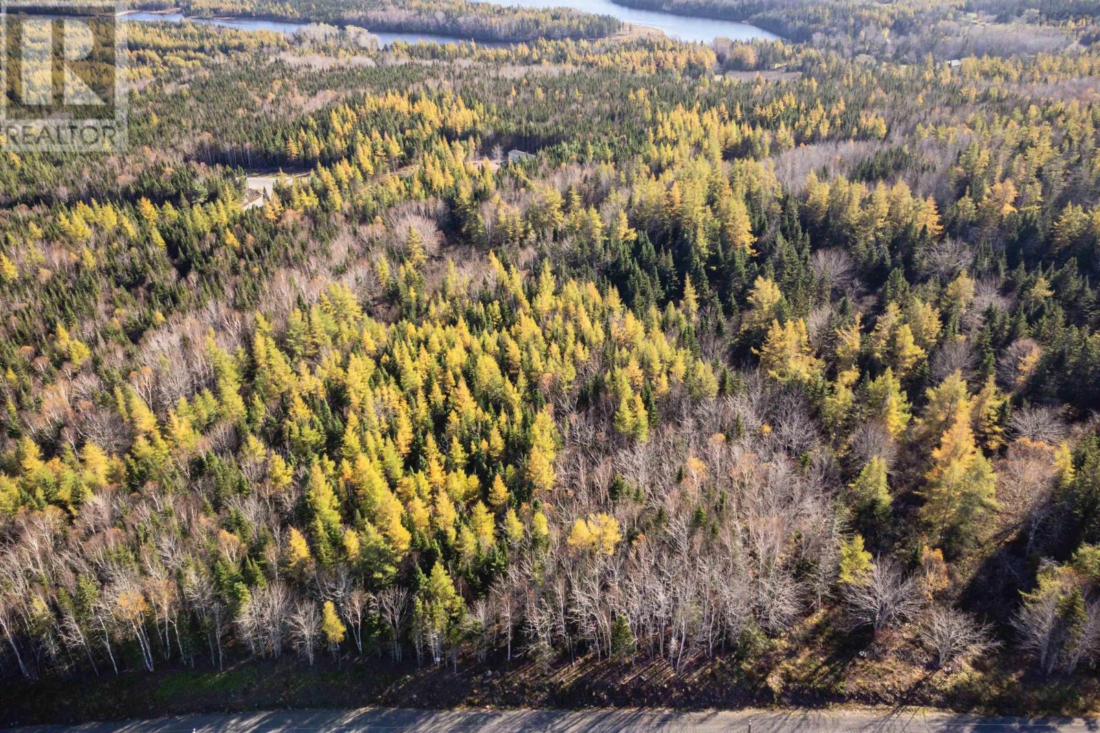 Lot 25 Beaver Lane, Grantville, Nova Scotia  B0E 1J0 - Photo 6 - 202423488