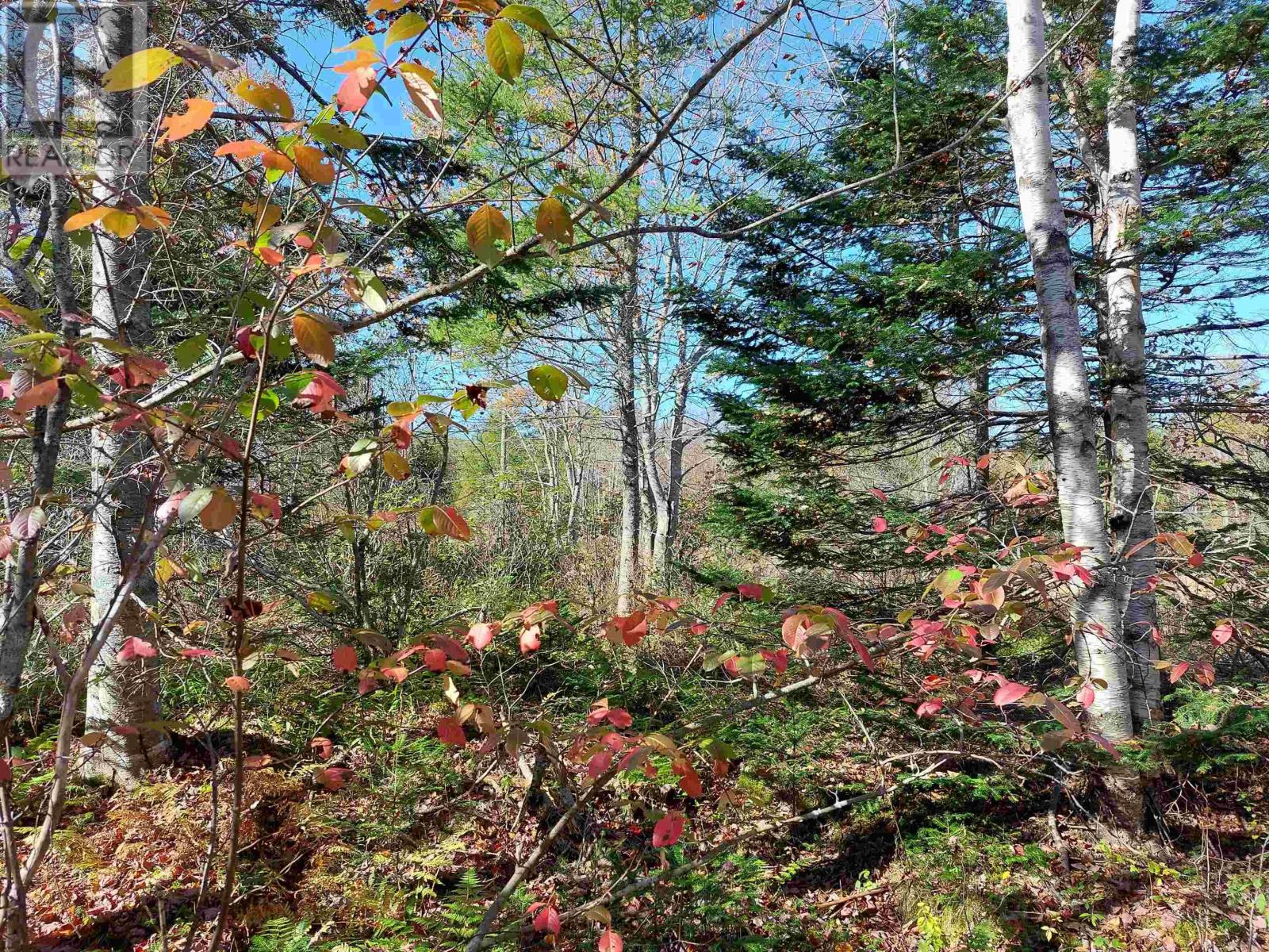 Lot 25 Beaver Lane, Grantville, Nova Scotia  B0E 1J0 - Photo 8 - 202423488