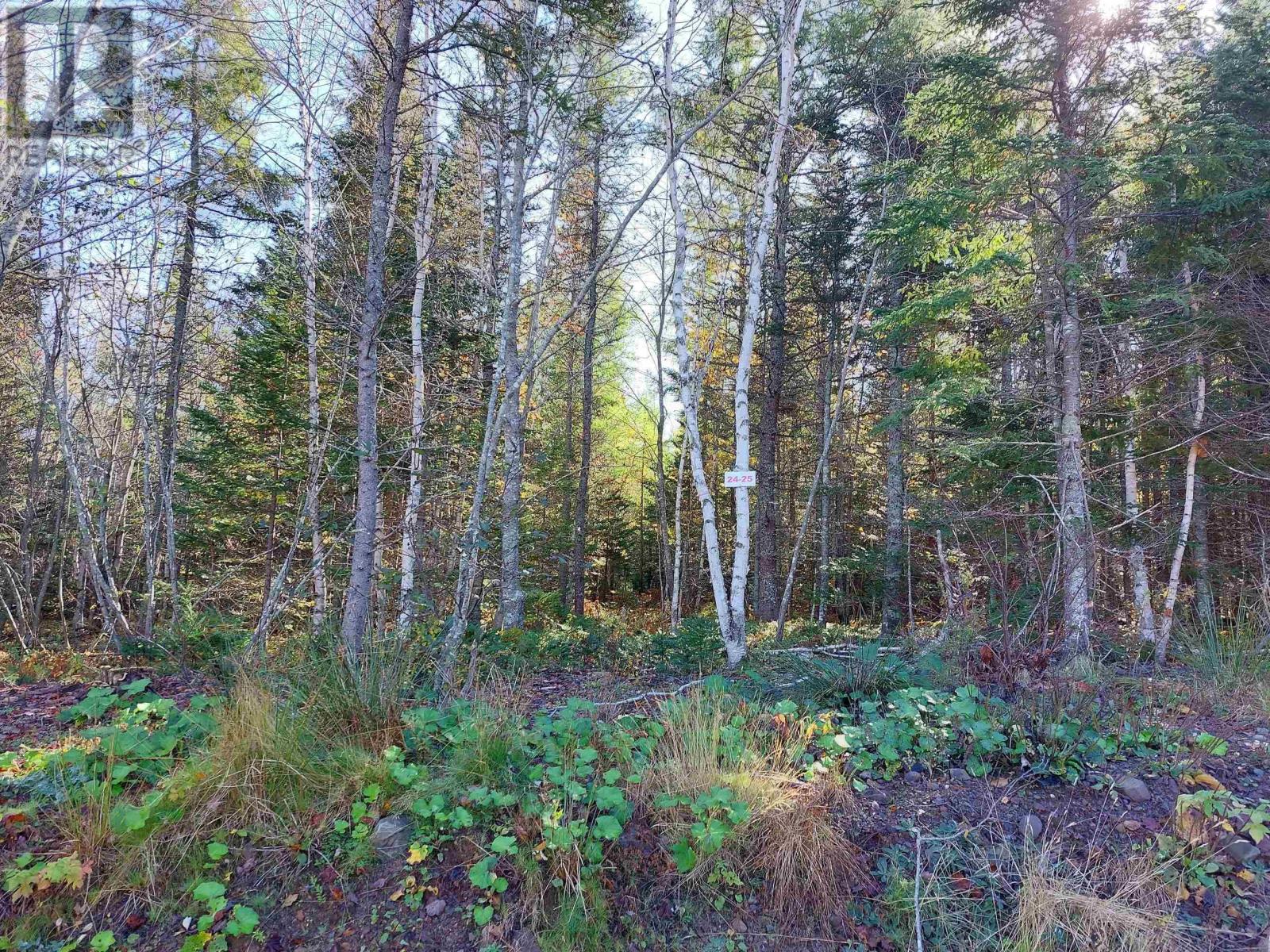 Lot 25 Beaver Lane, Grantville, Nova Scotia  B0E 1J0 - Photo 9 - 202423488