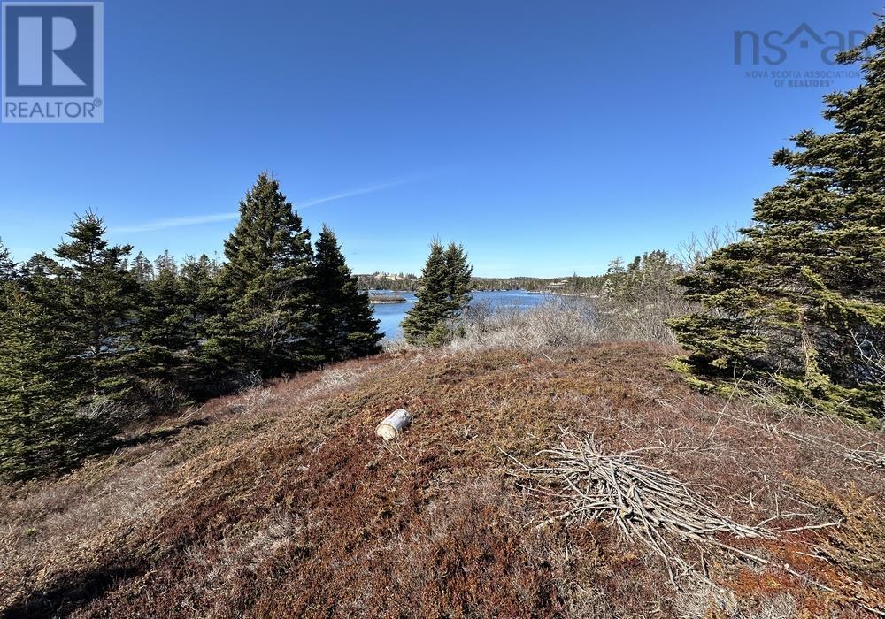 Lot Pid#60354701 Highway 331, Crescent Beach, Nova Scotia  B0R 1C0 - Photo 11 - 202423566