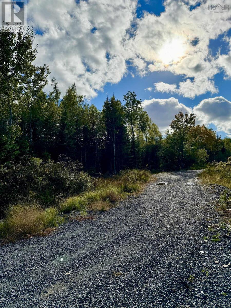 Lot 1 & 2 Moose Lane, Upper Nine Mile River, Nova Scotia  B2S 0C1 - Photo 10 - 202423574