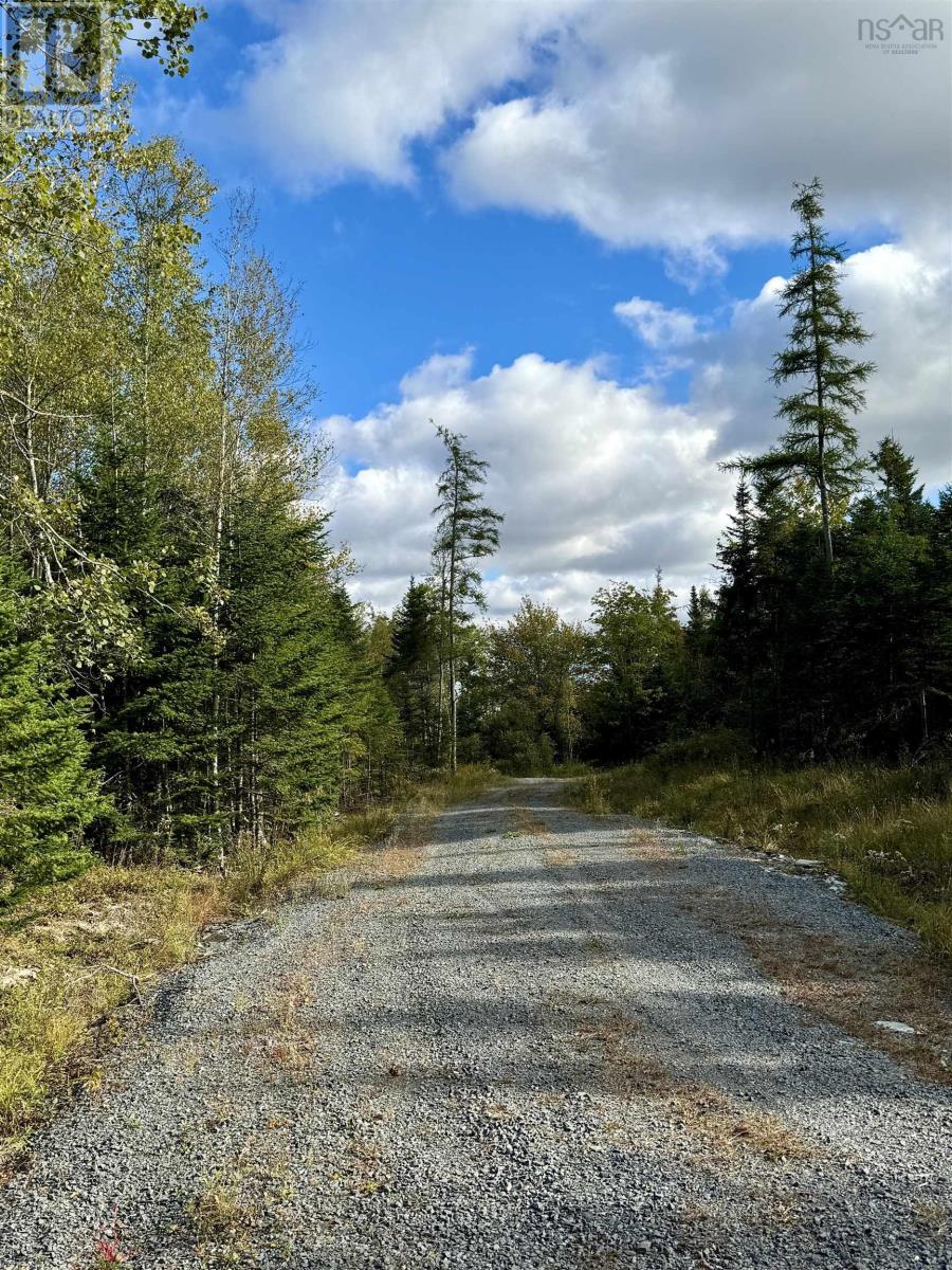 Lot 1 & 2 Moose Lane, Upper Nine Mile River, Nova Scotia  B2S 0C1 - Photo 11 - 202423574