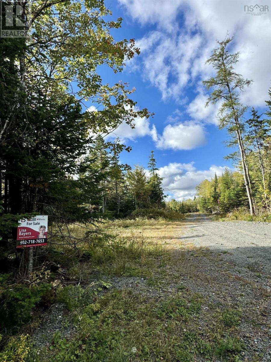 Lot 1 & 2 Moose Lane, Upper Nine Mile River, Nova Scotia  B2S 0C1 - Photo 3 - 202423574