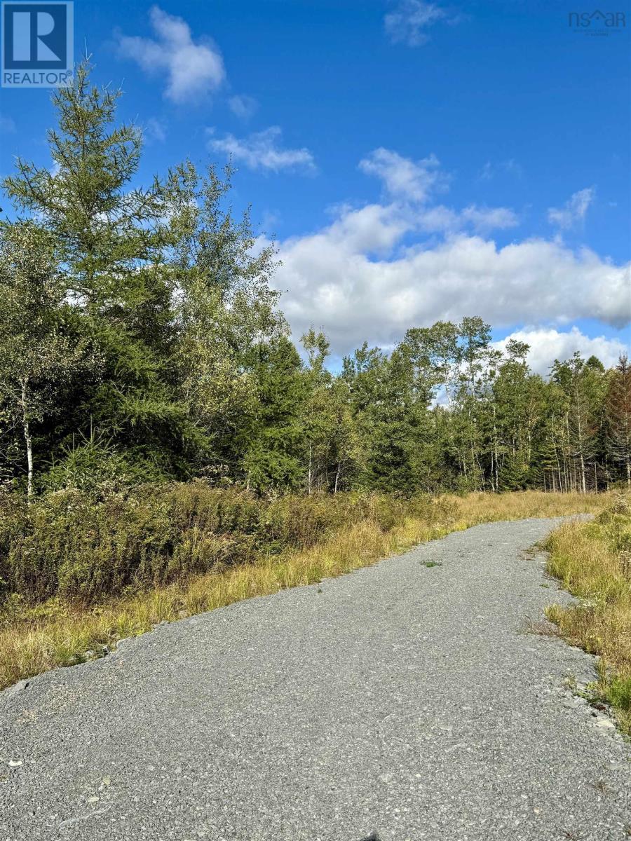 Lot 1 & 2 Moose Lane, Upper Nine Mile River, Nova Scotia  B2S 0C1 - Photo 5 - 202423574