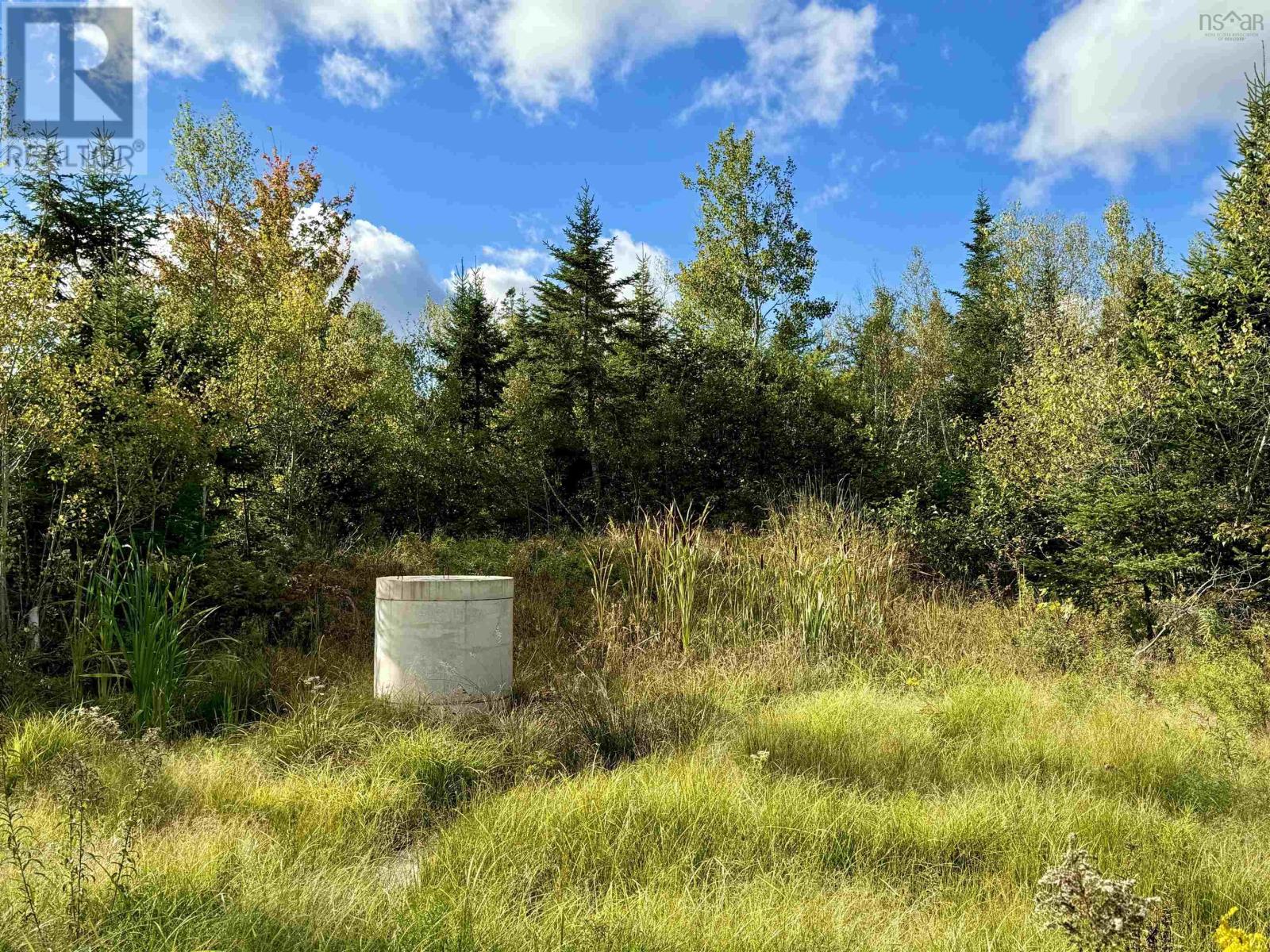 Lot 1 & 2 Moose Lane, Upper Nine Mile River, Nova Scotia  B2S 0C1 - Photo 6 - 202423574