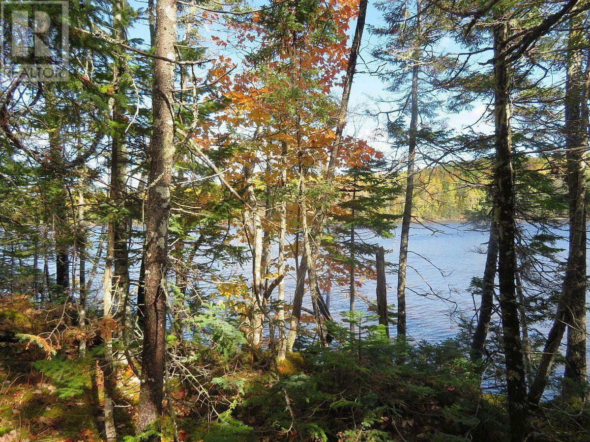 Lot 2 Lower River Road, Hureauville, Nova Scotia  B0E 1J0 - Photo 11 - 202423664