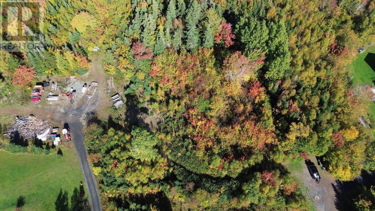 Lot 5 Tower Road, Mulgrave, Nova Scotia  B0E 2G0 - Photo 12 - 202423688