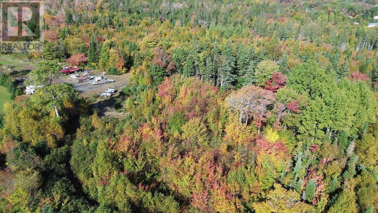 Lot 5 Tower Road, Mulgrave, Nova Scotia  B0E 2G0 - Photo 15 - 202423688