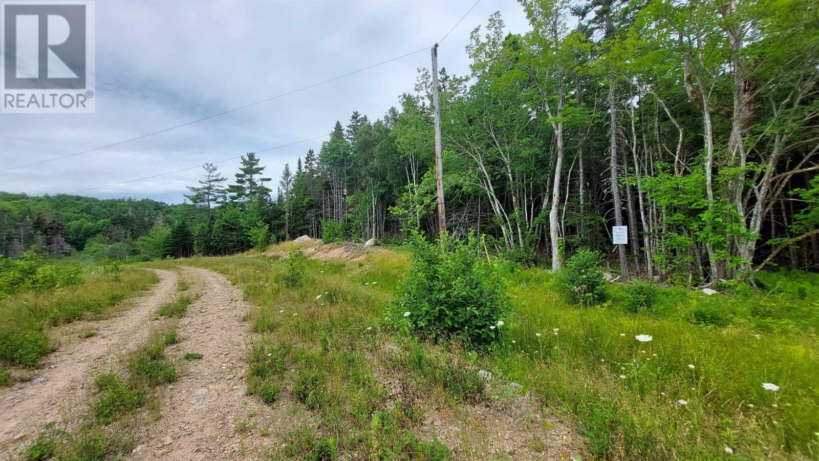 Lot 1g Marble Mountain Rd, Malagawatch, Nova Scotia  B0E 2Y0 - Photo 17 - 202423760