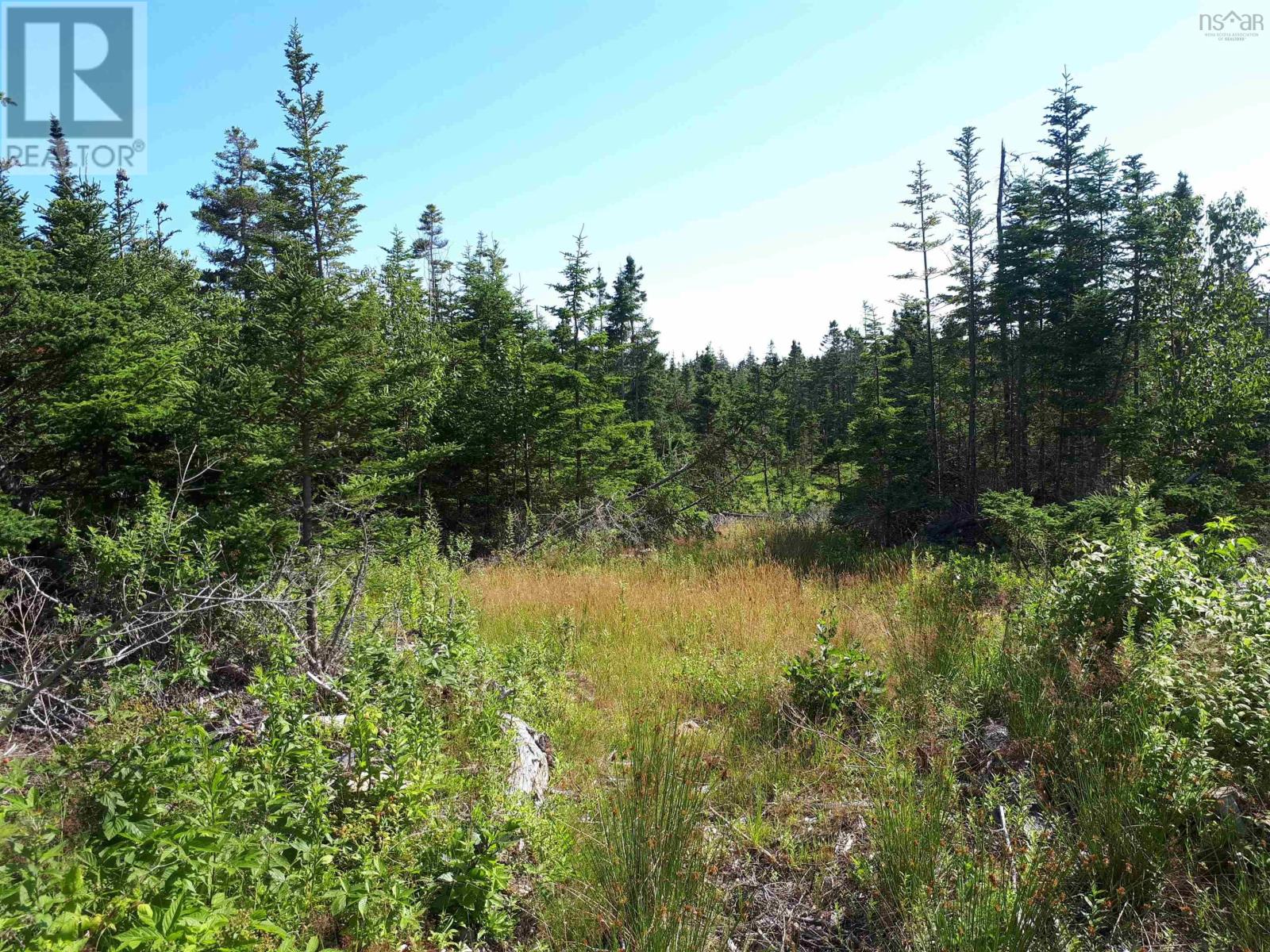 2 Lots Mauger Road, Cap La Ronde, Nova Scotia  B0E 1K0 - Photo 8 - 202423834