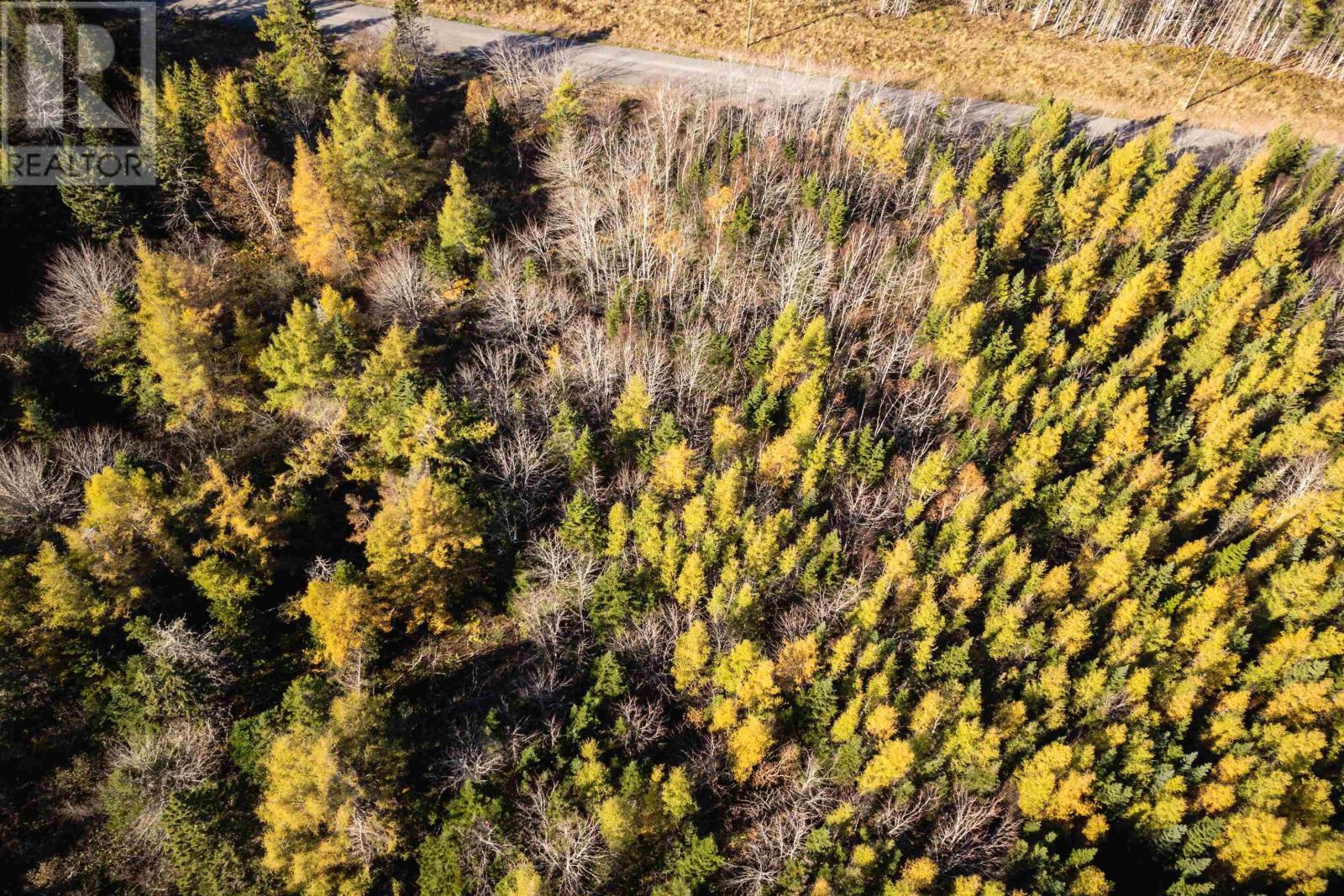 Lot 8 Beaver Lane, Grantville, Nova Scotia  B0E 1J0 - Photo 10 - 202423838